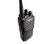 Vertex VX-451